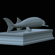 Sturgeon-statue-25.png fish beluga / sturgeon / huso huso / vyza velká statue detailed texture for 3d printing