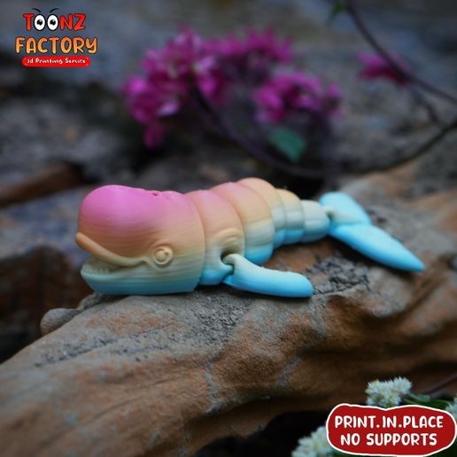 h.jpg PRINT IN PLACE CUTE FLEXI BELUGA WHALE