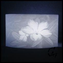 Lithophane Desert Rose_v2_2.jpg Free STL file Lithophane Desert Rose v2・3D printing template to download
