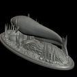 sumec-2-8.png catfish / Siluriformes / sumec velký underwater statue detailed texture for 3d printing