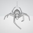 s01.jpg Spider (Friendly)
