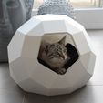Snapseed 2.jpg TAO LOW POLY cat house