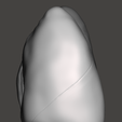lung-4.png High resolution 3D lungs model with detailed anatomical impression