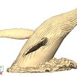 Humpback-Whale-Head-off-the-Water-3.jpg Humpback Whale Head off the Water 3D printable model