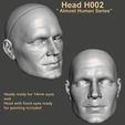 Image2.jpg BJD 1/3 75MM HEAD - ALMOST HUMAN 2 - BY SPARX