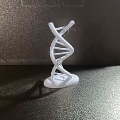 Reprap Double Helix