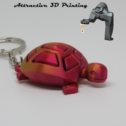 TORTUE-PNG.png STL-Datei TORTUE・3D-Drucker-Vorlage zum herunterladen