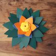 7.jpg Flower Inspired Puzzle