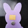 IMG_20210607_154014.jpg magnet fridge rabbit digital file stl print 3d bunny obj