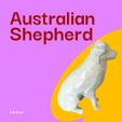WhatsApp-Image-2024-04-17-at-12.52.46.jpeg Low Poly - Australian Shepherd