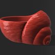 006.jpg Shell Planter