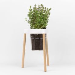 Trépied Bonne Maman - 2018 05 19 - 3.jpg STL file Tripod for planting in a jam pot・3D printing idea to download