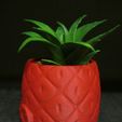 Maceta-Spongebob-3.jpg Archivo STL Spongebob´s House Plant Pot (Easy print no support)・Modelo para descargar e imprimir en 3D