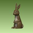 1.jpg Bunny Rabbit