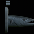 Barracuda-solo-model-6.png fish head great barracuda trophy statue detailed texture for 3d printing