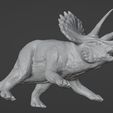 10.jpg Triceratops