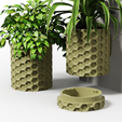 HEX-Collection_9-3.png HEX Collection - Planter Set