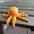 IMG_20190316_104110.jpg Cute Mini Octopus