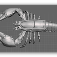 Ashampoo_Snap_2019.10.16_17h48m25s_001_.png Maine style Lobster