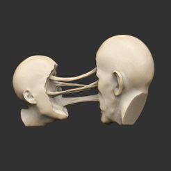 SculptureHeadToHead.jpg Free STL file Head To Head Sculpture・3D printing design to download