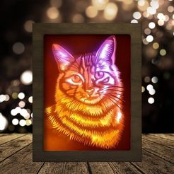 il_794xN.3445285489_6a5gcd42b1a197435016-transformed.jpeg Boîte à lumière Portraits de chats (Tête de chat)