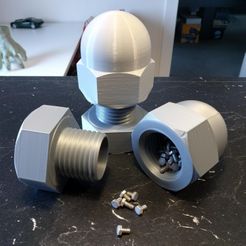 IMG_20190406_164200.jpg Free STL file Cap Nut Container・3D print design to download