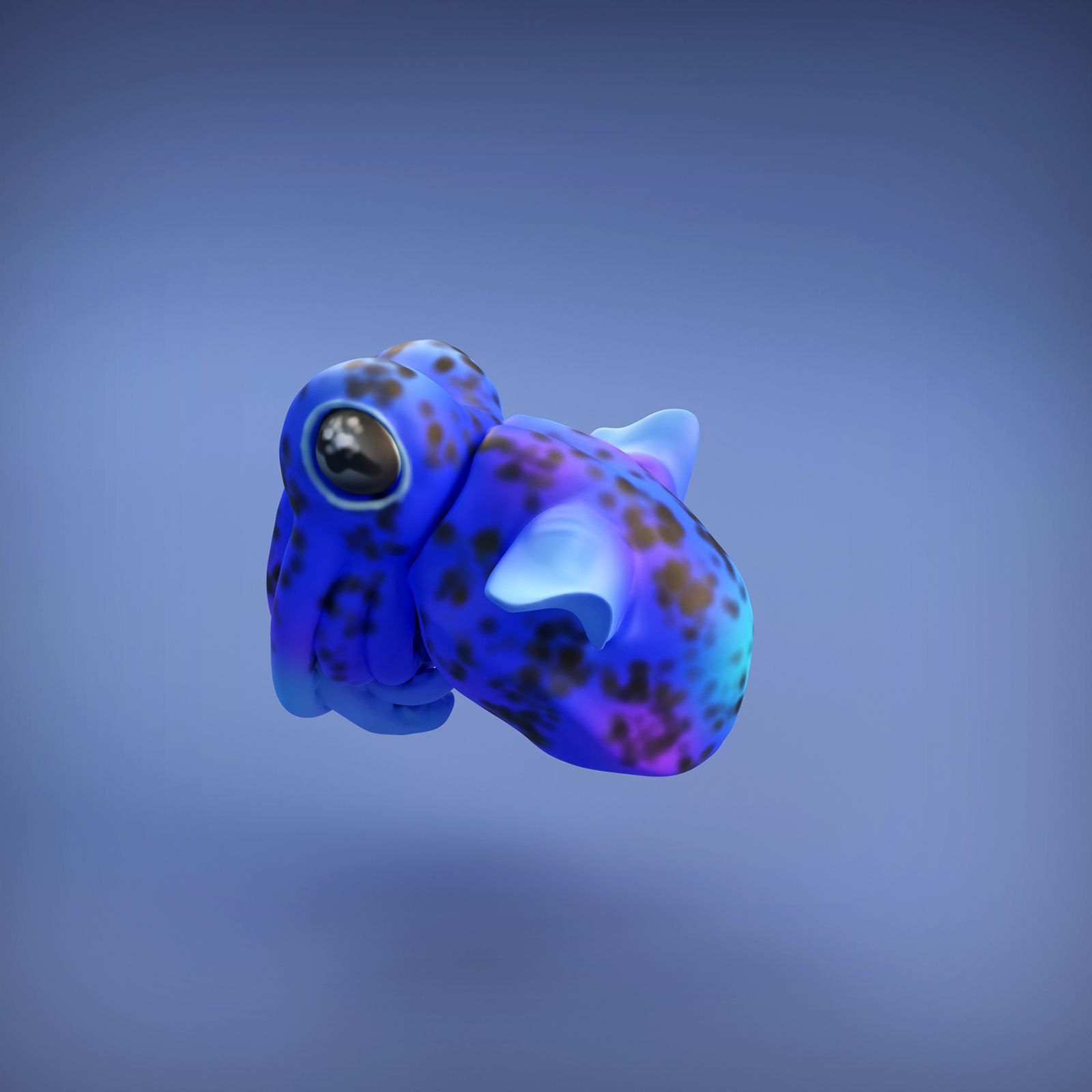 Bobtail_squid_6.jpg -Datei Bobtail-Tintenfisch herunterladen • 3D-druckbares Design, mayapantic