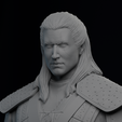 portrait.png Geralt of Rivia - The Witcher Netflix series