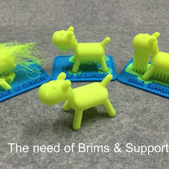 brim_1-E.png Free STL file Learning tool of 3D printer with brims & supports・3D printer design to download, Eunny