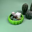 04.jpeg Stackable bowl “cactus”
