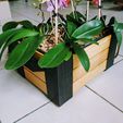 with_orchids2.jpg "Lina Woodbox" Modular box