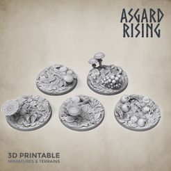 Base_round_forest_30_asgard_rising.jpg Archivo STL 5 x Bases redondas de 30mm Tema del bosque・Objeto de impresión 3D para descargar