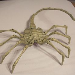 FaceHugger1_display_large.jpg Archivo STL gratis Agisis Ultimate Alien Face Hugger (40in x 23in - LIFE SIZE!)・Objeto de impresión 3D para descargar