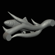 pstruh-22.png rainbow trout underwater statue on the wall detailed texture for 3d printing