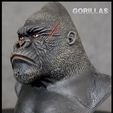 Silverback-Gorilla-Predator-sculpted-by-Yacine-BRINIS-019.jpg Silverback Gorilla