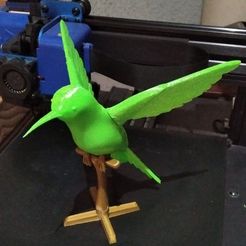 Colibri-v02-06.jpeg Archivo STL Hummingbird - Colibrí・Plan imprimible en 3D para descargar, Dog3D