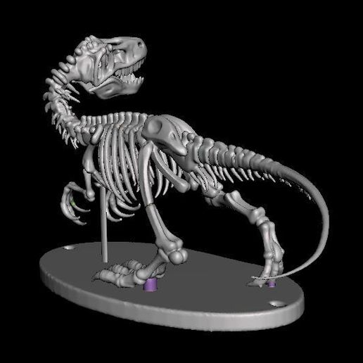 teropodo-12.jpg Skelett eines Theropoden