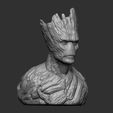 3cuartos.jpg Groot