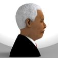 nelson-mandela-bust-ready-for-full-color-3d-printing-3d-model-obj-mtl-fbx-stl-wrl-wrz (9).jpg Nelson Mandela bust ready for full color 3D printing