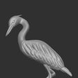 garza3.jpg Heraldic relief heron