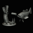 peacock-bass-trophy-natural-2-2-15.png Peacock bass (Cichla ocellaris) fish trophy in motion sculpture 2 underwater detailed texture for 3d printing