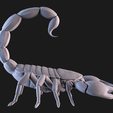 06.png Scorpion