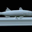 Barracuda-base-25.png fish great barracuda / Sphyraena barracuda statue detailed texture for 3d printing