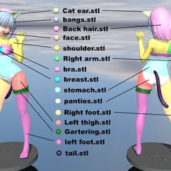 MN, SS Cat ear.st]| ————_——_ w~ bangs.stl wv face.stl ~ shoulder.stl \ Right arm-.stl bra.stl breast.stl YY U stomach.stl panties.stl Archivo STL Lencería de gato・Diseño para descargar y imprimir en 3D