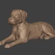 I2.jpg Dog - Labrador Statue