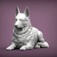 Germanо_Shepherd3.jpg German Shepherd 3D print