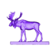model.OBJ moose - elk - deer genus Alces - Alces alces - moose North America