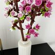IMG_3016.jpg Vase for 40725 cherry blossom