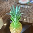 IMG_2926.jpeg Golden Luxurious Pineapple