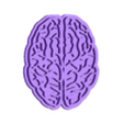 Brain Stamp.stl Body Organs Cookie Cutter Set of 6